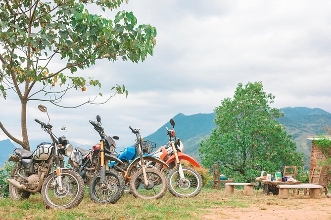 Sapa Motorbike Experience: Local Life, Rice Fields & Waterfalls - Key points at a glance