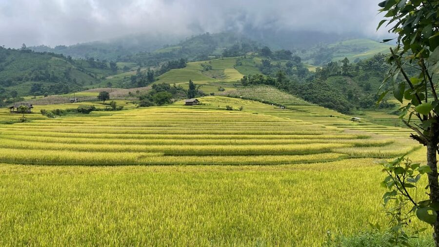 Sapa: Motorbike Tour 1 Day Visit Waterfalls & Local Villages - Love Waterfall: Forest Quiet, Cool Water, and a Real Walk