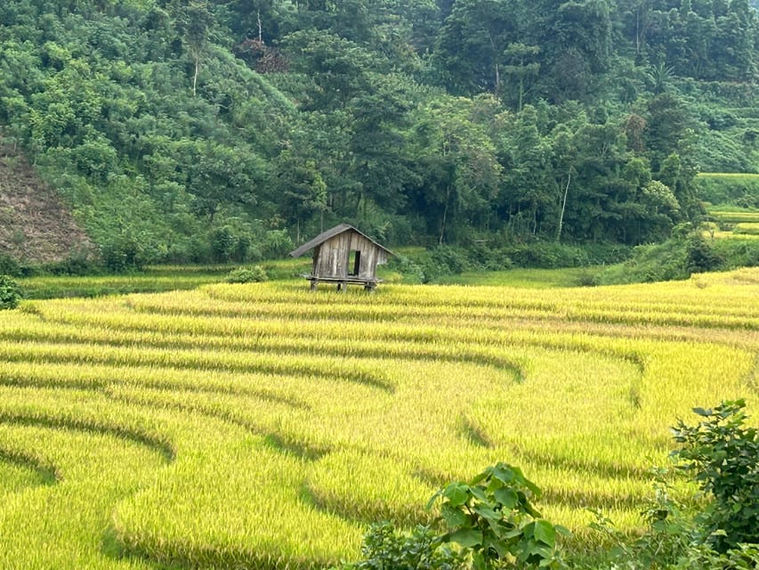Sapa: Motorbike Tour 1 Day Visit Waterfalls & Local Villages - Muong Hoa Valley Villages: Terraces, Wooden Houses, and Slow Reality