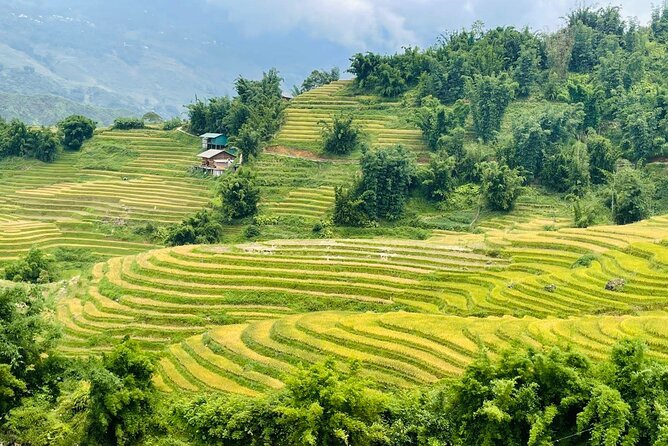 Sapa Motorbike Tour With Local Guide 1 Day - Waterfalls, Villages - Weather can change the whole day, including visibility
