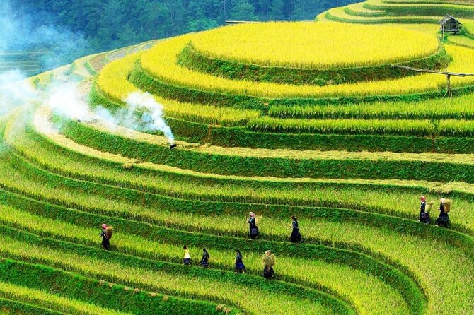 Sapa Muong Hoa Valley & Ta Van Eco Village Scenic Tour (No Trek) - Why This Half-Day Sapa Loop Works Without a Trek
