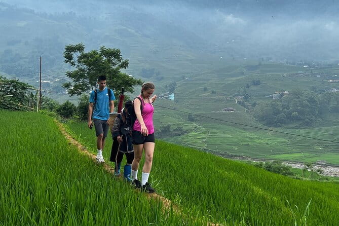 Sapa Private Car Rental–Half & Full Day & English Speaking Driver - The 4-Hour Route: Y Linh Ho, Lao Chai, Ta Van, Fansipan