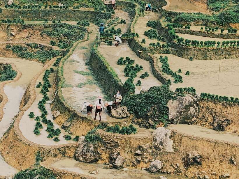 Sapa: Private Highlights Day Tour with Lunch - Why this Sapa private highlights loop is worth your day