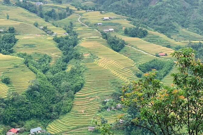 Sapa The Hidden Trail Trek 1 Day - Mountain & Rice Valley - Hau Chu Ngai and the Bamboo Forest Section on the Way Down