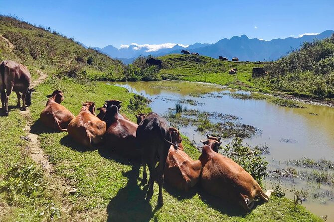 Sapa The Hidden Trail Trek 1 Day - Mountain & Rice Valley - Hang Da Village: Huge Rocks, Black HMong Life, and Photo-Worthy Edges