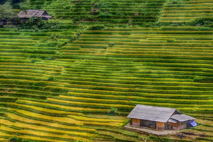 Sapa Trekking Bargains With Local Guide - Meeting at Sapa Stone Church, then right into the valley