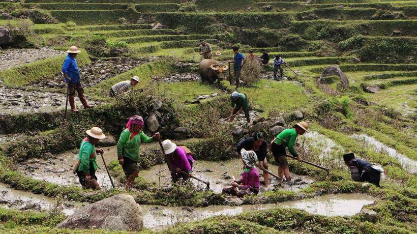 Sapa Trekking Bargains With Local Guide - Y Linh Ho: photo stops that start real conversations