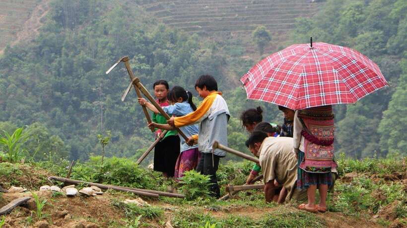 Sapa Trekking Bargains With Local Guide - Route choice matters: 5 to 11 km, and the hills do the talking