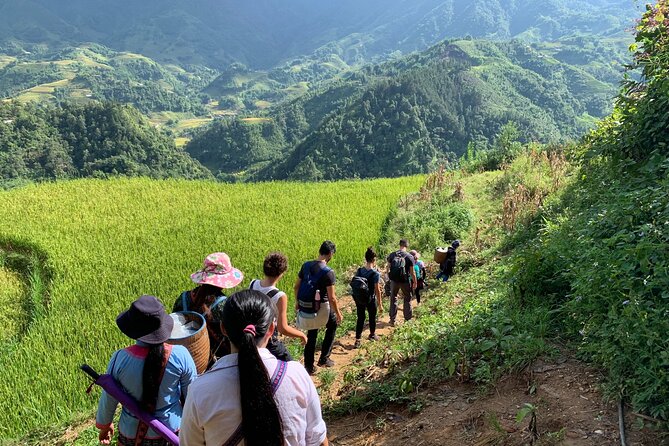 Sapa Trekking Tour 2 Days 1 Night By Bus - Day 1 in Sapa: Muong Hoa Valley trekking to Lao Chai and a waterfall break