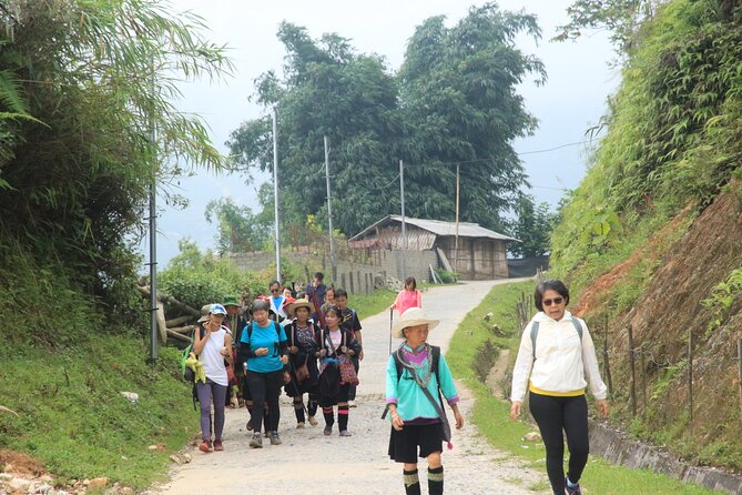 Sapa Trekking Tour Full Day - The highest-point panorama and cloud-hunting strategy