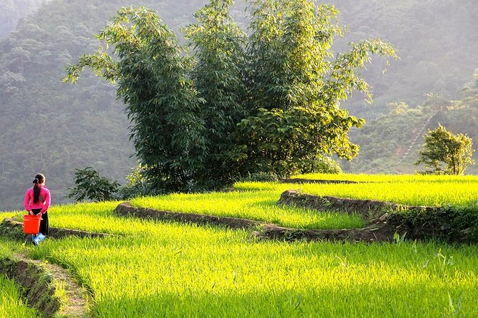 Sapa Valley Trek and Homestay - 3D2N - A Trek Built Around Real Village Life, Not Just Views