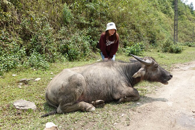 Sapa Valley Trek and Homestay - 3D2N - Homestay Reality: What Is Included, What You Should Expect