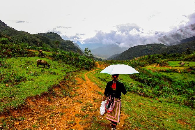 Sapa Valley Trek and Homestay - 3D2N - Who Should Book This Sapa Valley Trek, and Who Might Want a Different Route