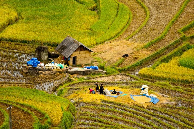 Sapa Villages trekking and homestay 2 Days/ 1 night package tour: best selling - Why This Sa Pa Villages Trek + Homestay Works for a Quick Trip