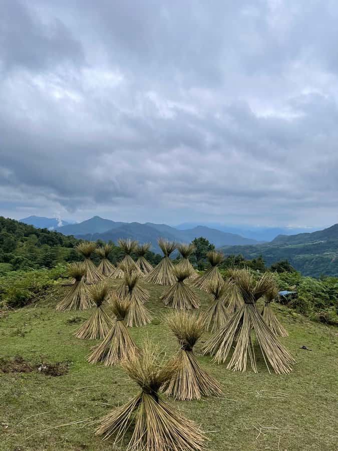 Sapa: Y Linh Ho - Lao Chai, and Ta Van Trekking Day Tour - Sapa’s 1-day circuit: Y Linh Ho to Lao Chai to Ta Van