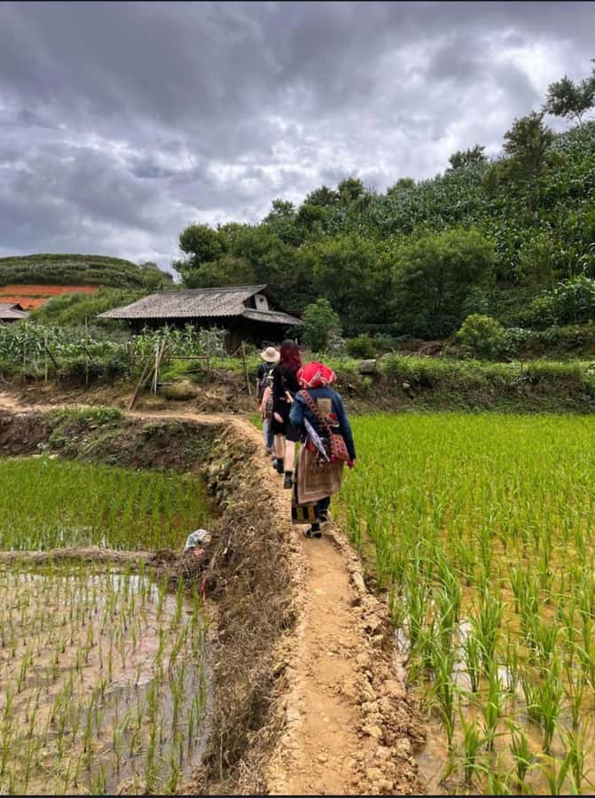 Sapa: Y Linh Ho - Lao Chai, and Ta Van Trekking Day Tour - Should you book this Y Linh Ho, Lao Chai, and Ta Van trek?
