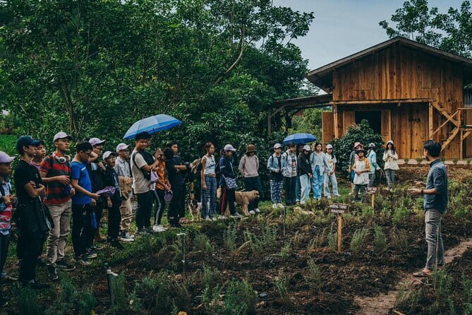 Scented Candle Workshop in Twin Beans Farm Da Lat - Twin Beans Farm: a practical Da Lat craft day with coffee and herbs