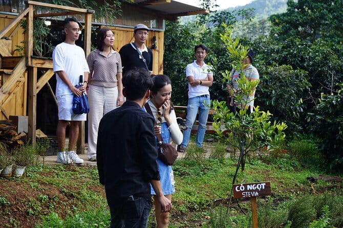Scented Candle Workshop in Twin Beans Farm Da Lat - Coffee on site: a nice add-on, not required
