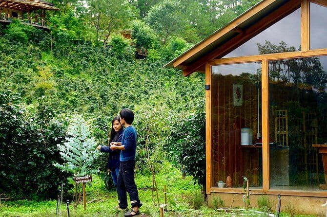 Scented Candle Workshop in Twin Beans Farm Da Lat - Your 1.5-hour flow: herb garden to finished candle