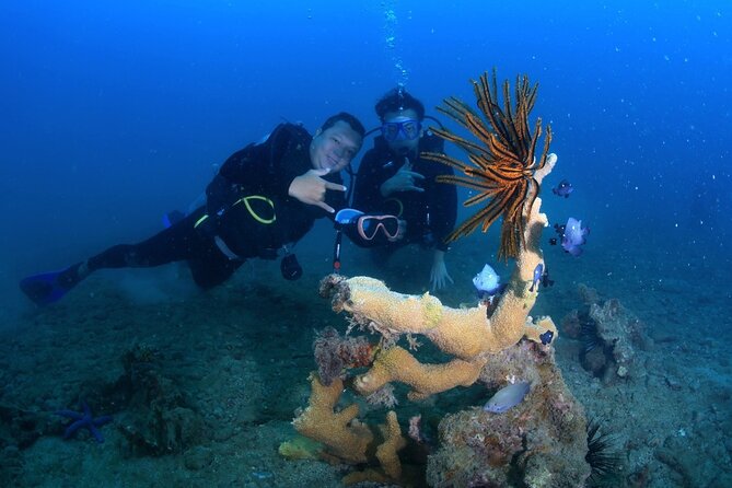 Scuba Diving Experience in Nha Trang Bay - Key Points You’ll Care About
