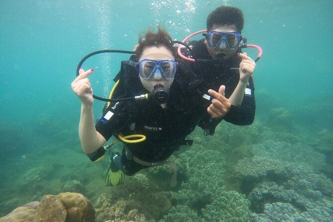 Scuba Diving Experience in Nha Trang Bay - What Your $53.21 Actually Buys