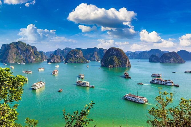 Shore Excursion: Amazing Day Cruise at Ha Long Bay - Morning at the Cruise Port: Check-In, Then Go