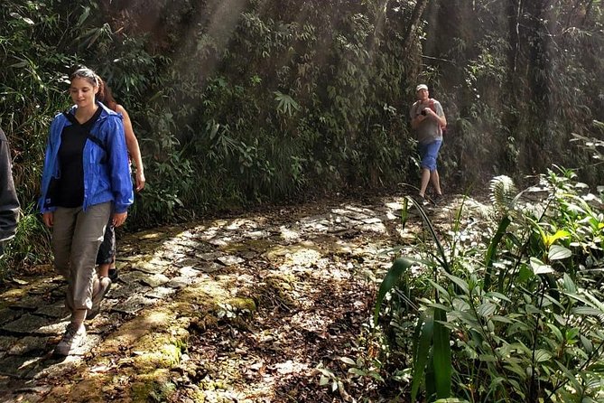 Small Group - Bach Ma National Park Trekking Tour From Hue - Price and Value: What $41.50 Covers in Real Costs