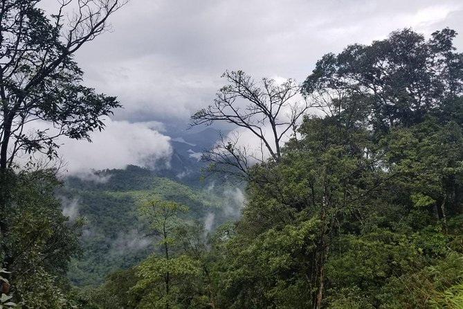 Small Group - Bach Ma National Park Trekking Tour From Hue - Weather, Safety, and the Trail Choice You Should Think About