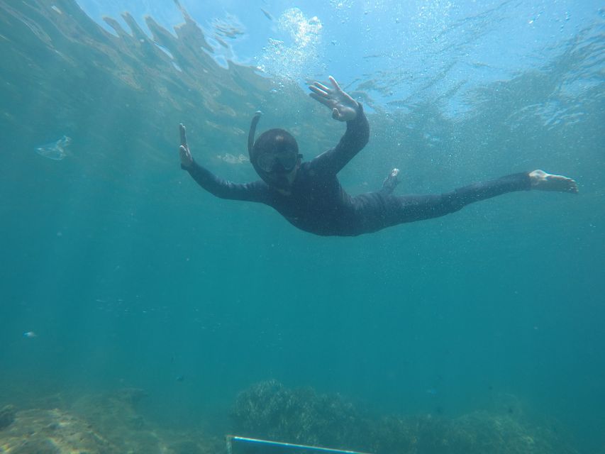 Snorkeling Cham Island: Snorkeling Tour by Speed Boat - Who This Tour Fits Best (And Who Should Skip It)