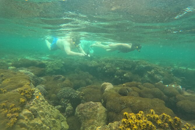 Snorkeling Island Hopping with Cable Car and Lunch - Key things to know before you go