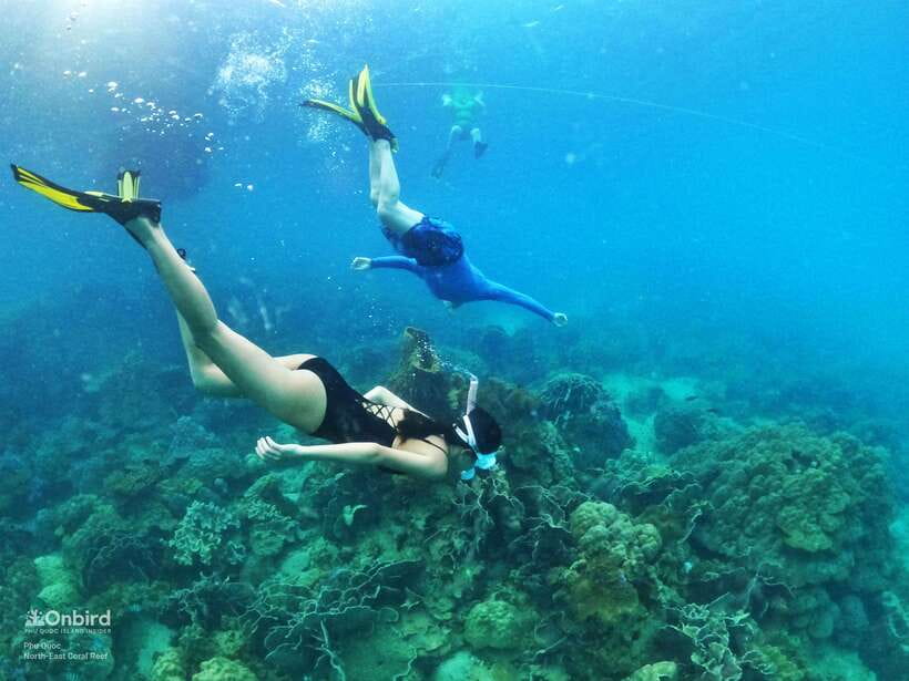 South Phu Quoc: Pro Snorkeling Tour by Speedboat - The Real 6-Hour Schedule: Pickup, Shallow Prep, Then 2 Hidden Spots