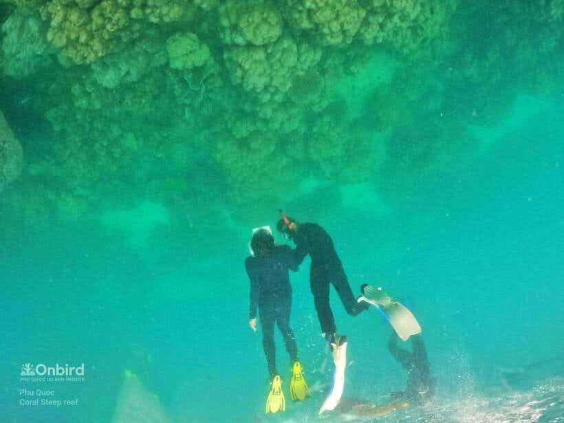 South Phu Quoc: Pro Snorkeling Tour by Speedboat - Small Group Coaching for Beginners, plus Real Comfort for Confident Swimmers