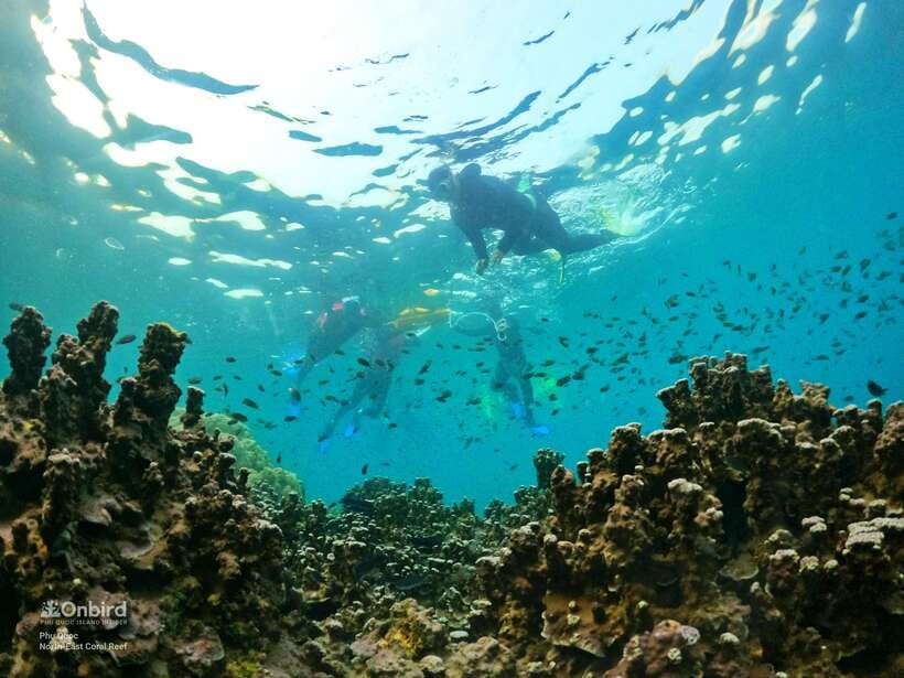 South Phu Quoc: Pro Snorkeling Tour by Speedboat - Equipment and Comfort: What’s Provided, and Why It Matters