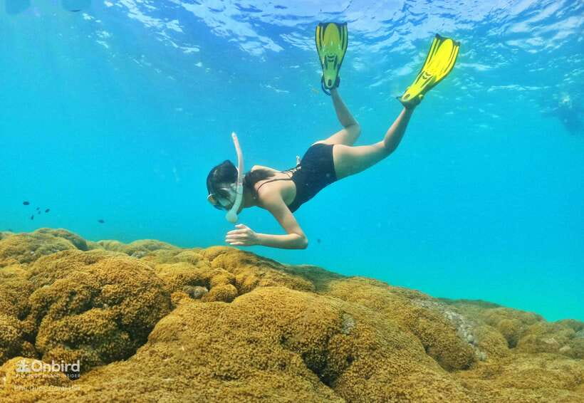 South Phu Quoc: Pro Snorkeling Tour by Speedboat - Who Should Book This (and Who Should Skip It)