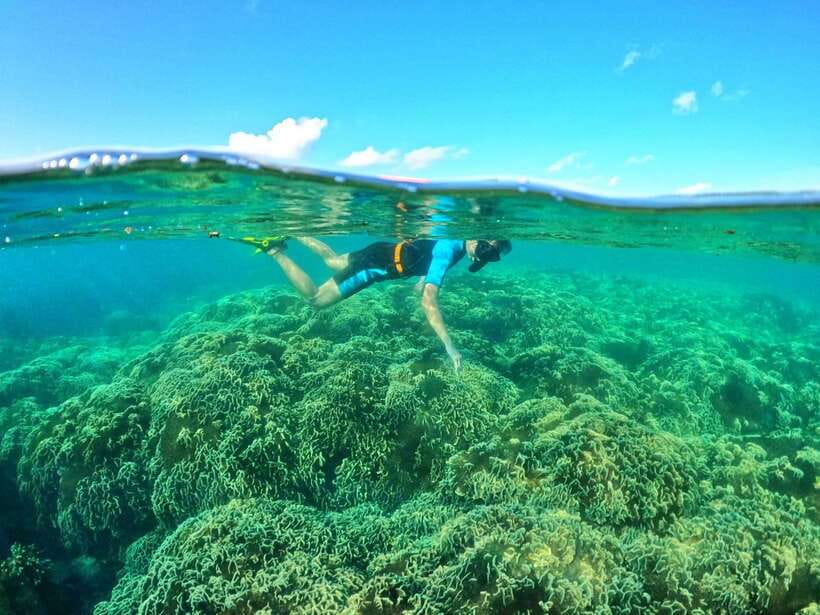South Phu Quoc: Pro Snorkeling Tour by Speedboat - Price Value: What $51 Really Buys, Plus Transfer Fees to Watch