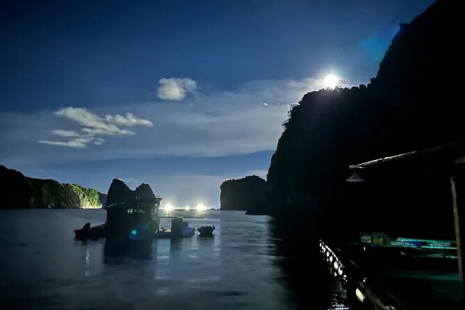Sunset and Plankton Bioluminescent Night Kayak Lan Ha Bay - The plankton bioluminescence moment you came for