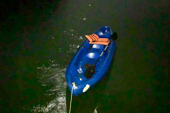 Sunset & Bioluminescent Plankton Kayaking Lan Ha bay - Kayaking at night: what the bioluminescence experience feels like