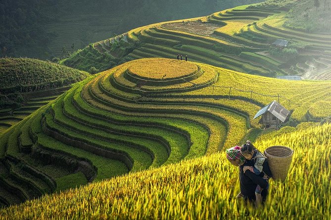 The Best Sapa Tour 2D1N At 3 Star Hotel by sleeping BUS TRANSFER - Day 1 in Cat Cat Village: Hydropower, Crafts, and a Gentle Trek