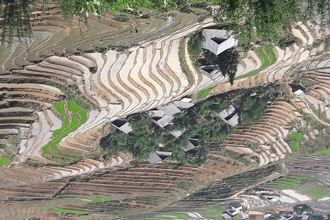 The best view and most authentic tour in Sapa (Non Touristy) - Why This Sapa Experience Feels Less Like a Checklist