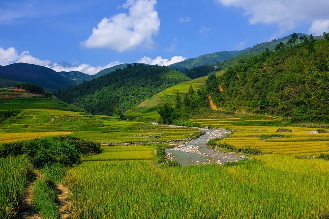 The best view and most authentic tour in Sapa (Non Touristy) - The Guide Factor: Why Mo and Toa Get Mentioned