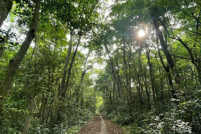 The Hidden Trails of Cat Ba - Lunch and Your Choose-Your-Pace Afternoon (Navy Peak or Biking)
