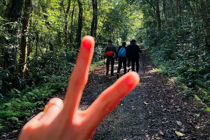 The Hidden Trails of Cat Ba - Transfers, Timing, and What “7 Hours Approx.” Really Means
