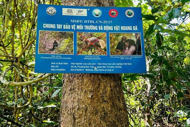 The Hidden Trails of Cat Ba - The 9 km Hike Through Cat Ba National Park (And Why It’s Not Just a Warm-Up)