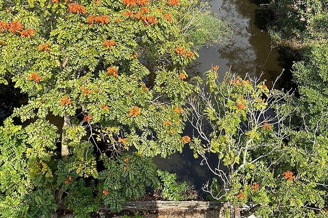 Tour for Nature lover- Lung Ngoc Hoang Nature Reserve in Can Tho - Lung Ngoc Hoang, the Mekong Delta’s quieter bird corner
