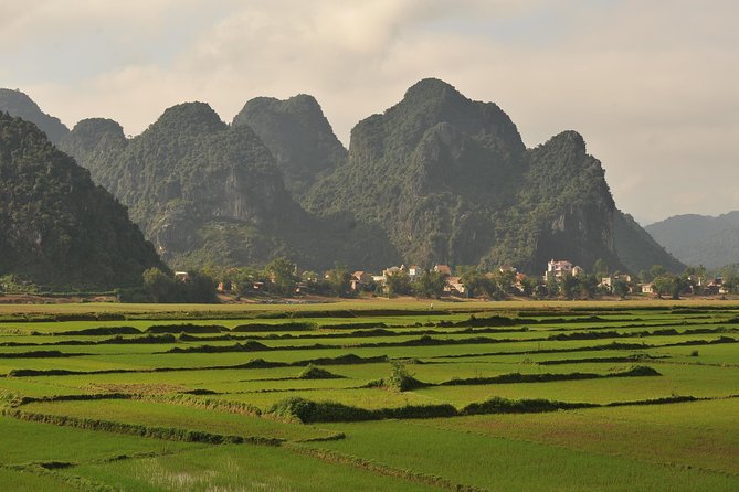 Tour to the caves ONE DAY tour to Phong Nha and Paradise caves - Stop 1 Setup: The Calm Start Before You Go Underground