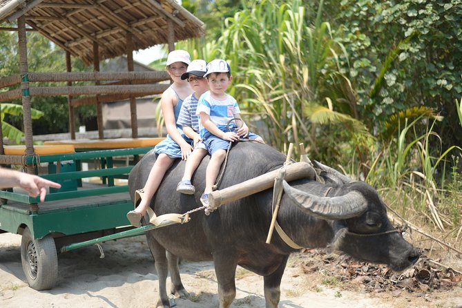 Traditional Cooking Class with Basket Boat Ride and market Tour - Bay Mau Coconut Forest and the Thu Bon River Cruise