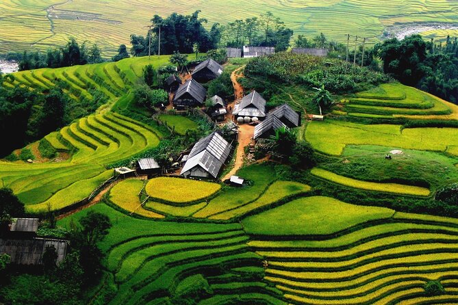 Trek Adventure in Ta Van Village, Lao Chai - How this half-day trek from Sapa actually feels