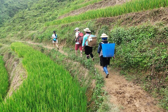 Trek Adventure in Ta Van Village, Lao Chai - Should you book the Trek Adventure in Ta Van Village, Lao Chai?