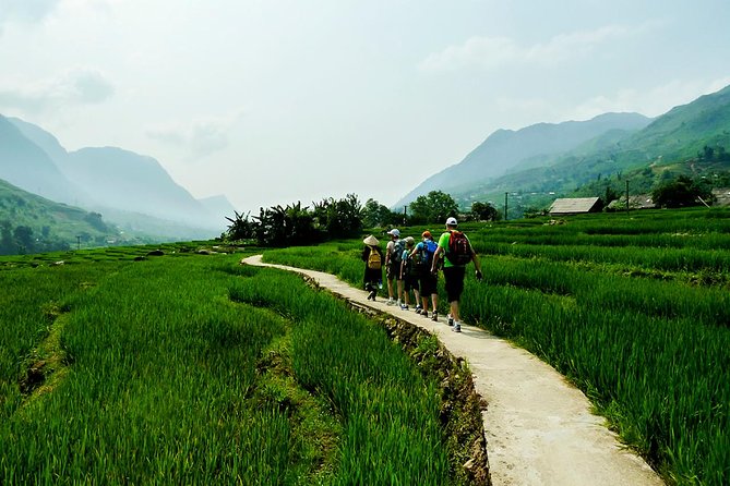 Trekking Through Rice Terraced Fields - 1Day - A one-day trek that feels personal, not rushed