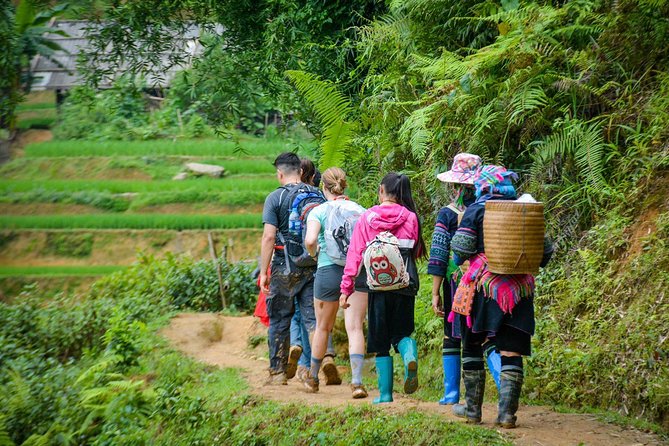 Trekking Through Rice Terraced Fields - 1Day - The rice terrace walk: what “moderate” really means for your legs